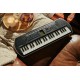 Casio SA-81 Mini Keyboard with Piano tones, Black (44 Keys)