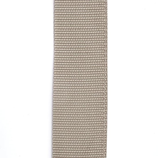 Planet Waves Polypropylene Guitar Strap, Silver Planet Waves Polypropylene Guitar Strap, Silver