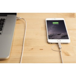 Targus ACC99507AP ALU Series 2-in-1 Lightning and Micro USB Cable (Gold) Targus ACC99507AP ALU Series 2-in-1 Lightning and Micro USB Cable (Gold)