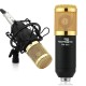 Powerpak Bm 800 Black Professional Condenser Microphone Mic Sound Studio Recording Dynamic (Requires Phantom Power) - Xlr