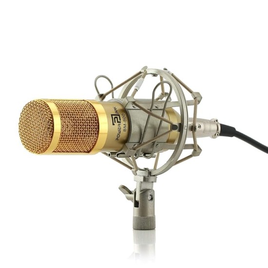 Powerpak Bm-800 Gold Professional Condenser Microphone with Metal Shock Mount (Requires Phantom Power Or Sound Card) - XLR