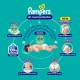 Pampers All Round Protection Pants Style Baby Diapers, Large size (L), 64 Count, 9-14kg, Anti-rash blanket, 360 degree Lotion with Aloe Vera