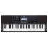 Casio CT-X870IN 61 Keys Portable Keyboard, Black