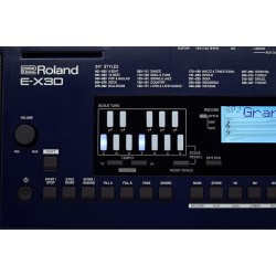 Roland E-X30 Arranger Keyboard 61-keys with Carry Bag Roland E-X30 Arranger Keyboard 61-keys with Carry Bag