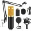 Powerpak BM-800 Professional Condenser Microphone Kit with Scissor Stand Sound Card Pop Filter XLR Cable Foam Cap and Shock Mount (Black)