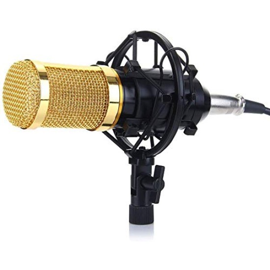 Powerpak BM-800 Professional Condenser Microphone Kit with Scissor Stand Sound Card Pop Filter XLR Cable Foam Cap and Shock Mount (Black)