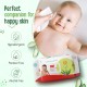 LuvLap Paraben Free Baby Wipes with Aloe Vera, with Fliptop Lid (72 Wipes/Pack)
