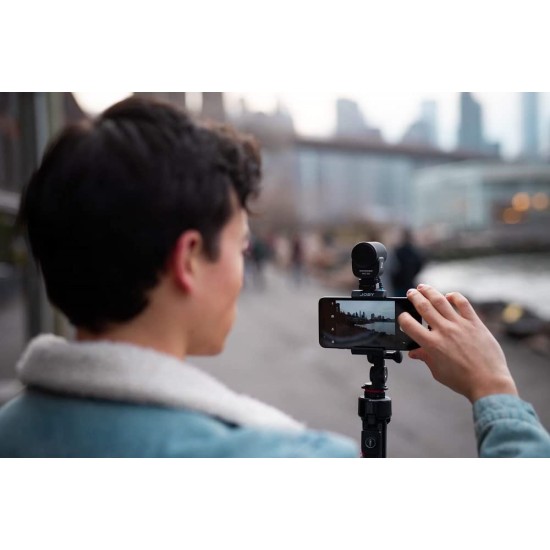 SENNHEISER Mke 200, Directional On-Camera Microphone Auxiliary