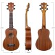JUAREZ EtÃ©reo 21" Soprano Ukulele, Sapele Top & Body, Aquila Italian Strings, Black Diecast Machine, Rosewood Fretboard & Bridge with Gig Bag, 2 Picks, Digital Tuner, Natural