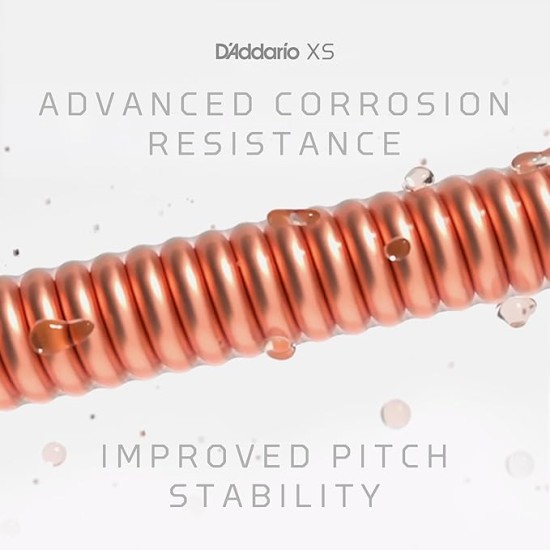 D'Addario Acoustic Guitar Strings, XS Phosphor Bronze Coated, XSAPB1253, Light Gauge 12-53, 6-String Set, Pack of 1