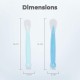 R for Rabbit Premium Safe Feed Silicone Baby Feeding Spoon Set of 2, Smooth Silicon Tip, Food Grade PP Spoon, BPA & Phthalates Free for Kids 6+ Months (Lake Blue -Blue) R for Rabbit Premium Safe Feed Silicone Baby Feeding Spoon Set of 2, Smooth Silicon Tip, Food Grade PP Spoon, BPA & Phthalates Free for Kids 6+ Months (Lake Blue -Blue)