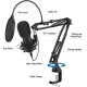 Audio Array AA-01 Suspension Boom Scissor Microphone Stand | Double Layer Mesh Pop Filter | Sturdy Boom Arm with 1.8kg Capacity | 5/8" to 3/8" Screw Adapter | Mic Holder | Mic Foam Cover | Cable Ties