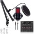 CEZO V500 Professional Condenser Auxiliary Microphone Kit Podcast Mic with V8 Sound Card Boom Arm Microphone with Stand (V500+V8 Sound Card) Black