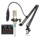 CEZO U87 Condenser Microphone Kit with V8 Sound Card Adjustable Scissor Arm Stand Shock Mount Computer Mic for Gaming, Streaming, YouTube, Voice Over, Studio, Home Recording ()