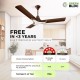 RR Signature New York Brooklyn 5 Star BLDC Ceiling Fan with Remote I High Speed I Ceiling Fan for Home Ale Brown RR Signature New York Brooklyn 5 Star BLDC Ceiling Fan with Remote I High Speed I Ceiling Fan for Home Ale Brown