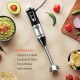 INALSA Electric Hand Blender with 500W Powerful DC Motor|Variable & Turbo Speed|Super Silent|Ultra Sharp SS Blade & Detachable Stem|2Yr Warranty|Blender for smoothie and juices,Whip,Chop-RobotInox500