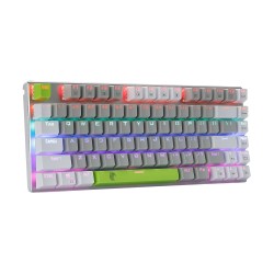 HUO JI Mechanical Gaming Keyboard Blue Switches Hot Swappable, E-YOOSO Z-88 Rainbow LED Backlit, USB Type-C Wired 81 Keys, for Desktop, PC Black