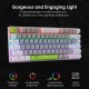 HUO JI Mechanical Gaming Keyboard Blue Switches Hot Swappable, E-YOOSO Z-88 Rainbow LED Backlit, USB Type-C Wired 81 Keys, for Desktop, PC Black