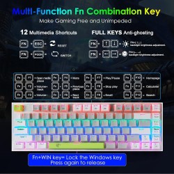 HUO JI Mechanical Gaming Keyboard Blue Switches Hot Swappable, E-YOOSO Z-88 Rainbow LED Backlit, USB Type-C Wired 81 Keys, for Desktop, PC Black