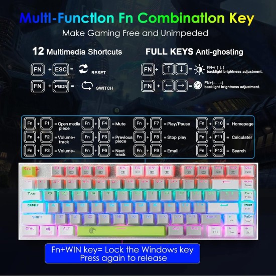 HUO JI Mechanical Gaming Keyboard Blue Switches Hot Swappable, E-YOOSO Z-88 Rainbow LED Backlit, USB Type-C Wired 81 Keys, for Desktop, PC Black