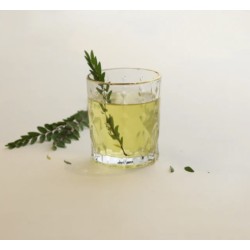 Tokyo Juice Glass 230 ml Set of 6 Pcs YG1689 - With Gold Line 