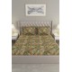 Raymond Home Cozzy 104 TC Double Bedsheet with 2 Pillow Covers Raymond Home Cozzy 104 TC Double Bedsheet with 2 Pillow Covers