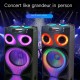 MT-1222 Power Party 3 Horn 12 Inch Speaker Big TWS Bass Speaker With Double Wireless Microphone