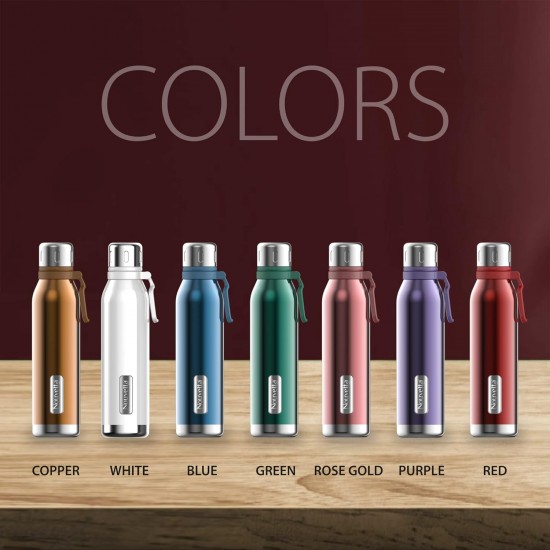 Nouvetta Spice Double Wall Stainless Steel Flask Bottle, 1000 ml-Blue